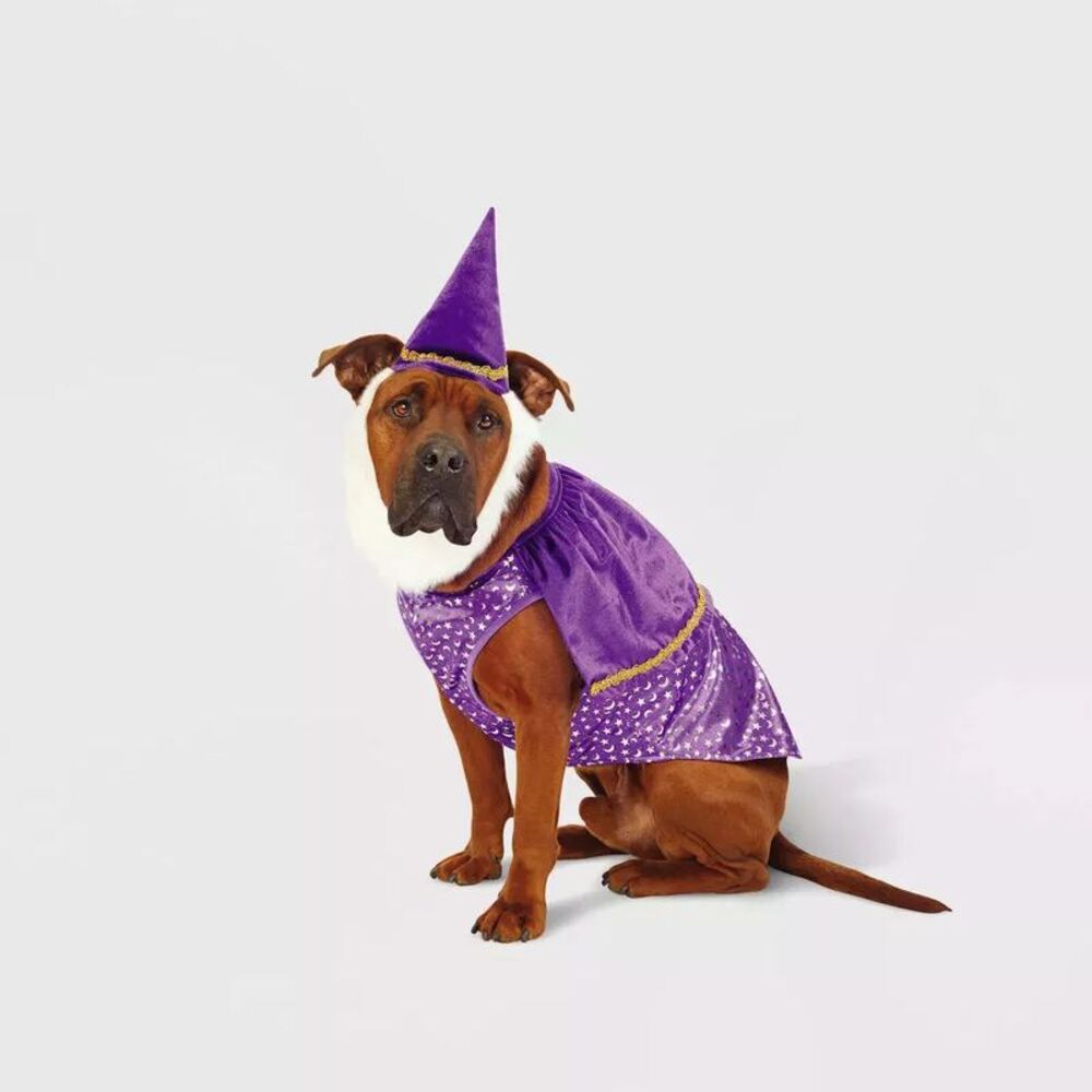 Hyde & EEK! Boutique Wizard Dog and Cat Costume - Medium